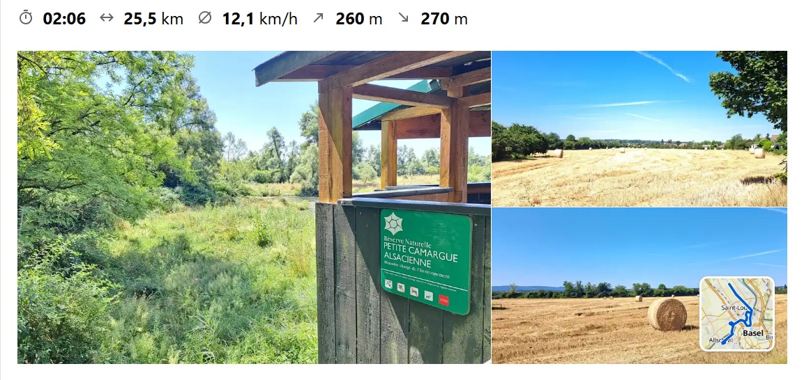 Petite Camargue Alsacienne